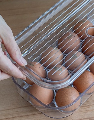 투명 계란 보관함